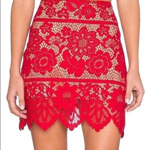 For Love and Lemons skirt